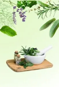 herbal-ভেষজ