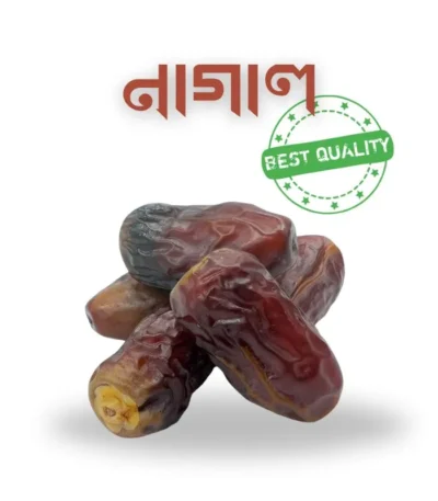 নাগাল খেজুর