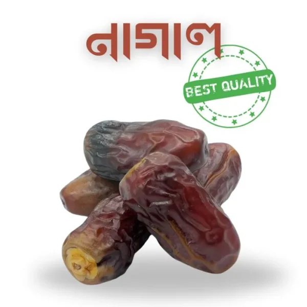 নাগাল খেজুর