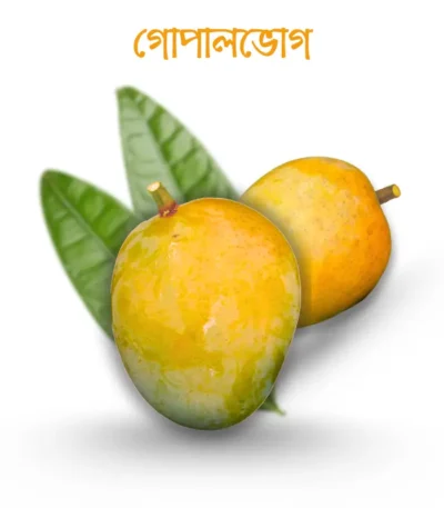 গোপালভোগ আম