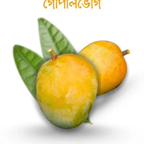 গোপালভোগ আম