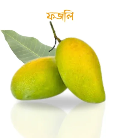 ফজলি আম