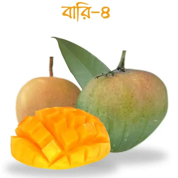 বারি আম - ৪