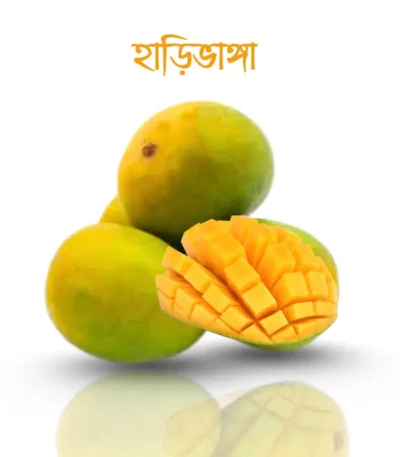 হাড়িভাঙ্গা আম