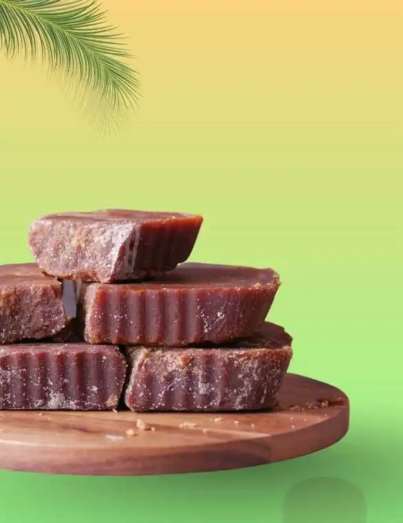 খেজুরের পাটালি গুড়